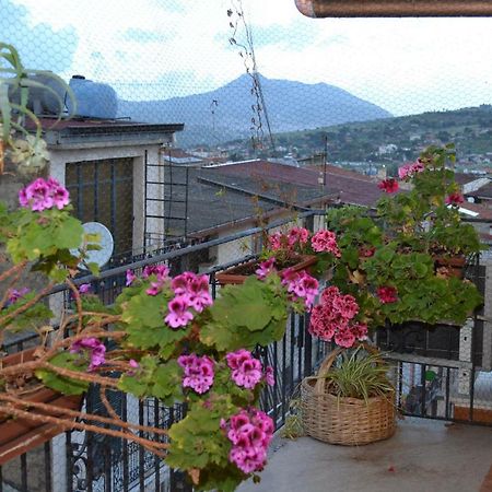 B&B Jolly House Bolognetta Екстериор снимка